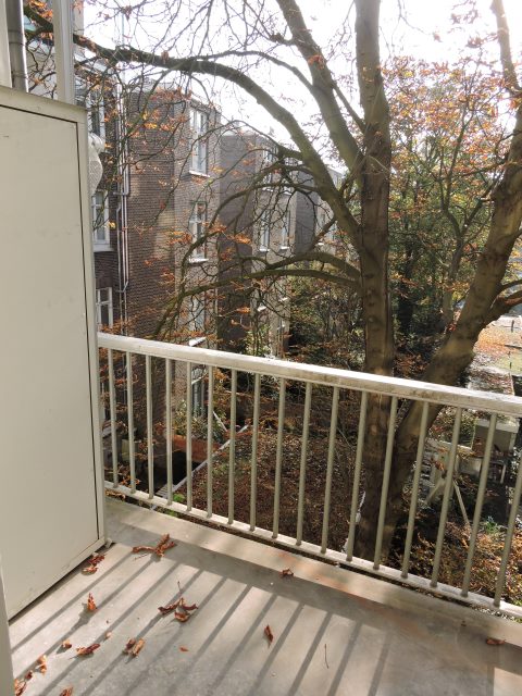 De Clercqstraat 87-I, Amsterdam, Noord-Holland Netherlands, 2 Bedrooms Bedrooms, ,1 BathroomBathrooms,Apartment,For Rent,De Clercqstraat,1,1095