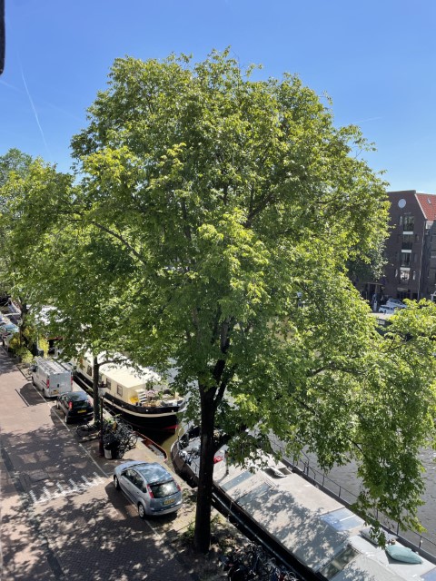 Oudeschans 116 1011 LE, Amsterdam, Noord-Holland Nederland, 2 Bedrooms Bedrooms, ,1 BathroomBathrooms,Apartment,For Rent,Oudeschans,1631